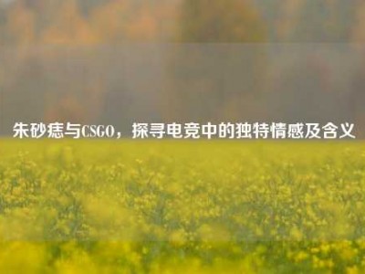 朱砂痣与CSGO，探寻电竞中的独特情感及含义