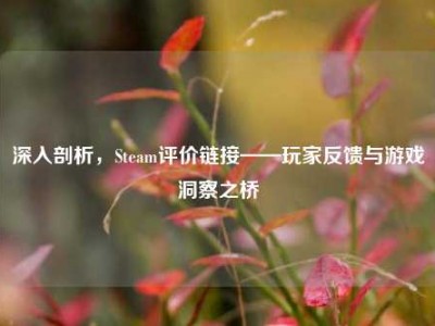 深入剖析，Steam评价链接——玩家反馈与游戏洞察之桥