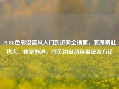 PUBG色彩设置从入门到进阶全指南，兼顾精准找人、视觉舒适，附关闭自动染色设置方法