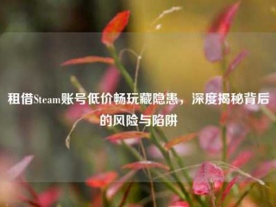 租借Steam账号低价畅玩藏隐患，深度揭秘背后的风险与陷阱