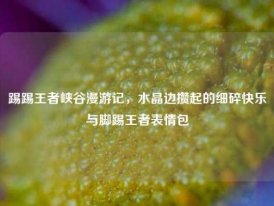 踢踢王者峡谷漫游记，水晶边攒起的细碎快乐与脚踢王者表情包