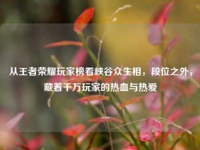从王者荣耀玩家榜看峡谷众生相，段位之外，藏着千万玩家的热血与热爱