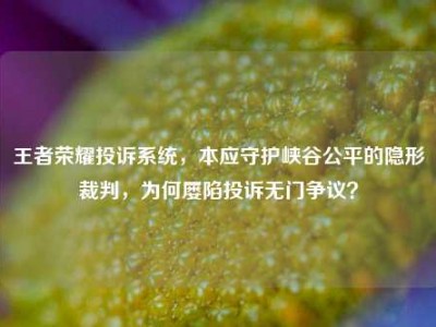 王者荣耀投诉系统，本应守护峡谷公平的隐形裁判，为何屡陷投诉无门争议？