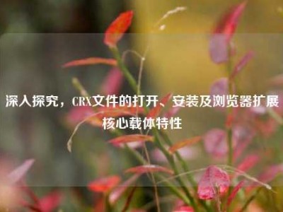 深入探究，CRX文件的打开、安装及浏览器扩展核心载体特性