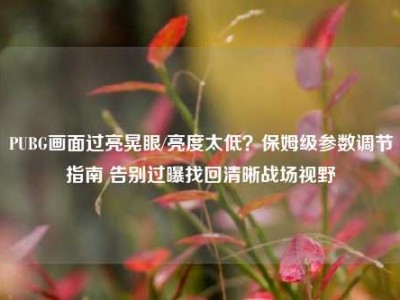 PUBG画面过亮晃眼/亮度太低？保姆级参数调节指南 告别过曝找回清晰战场视野