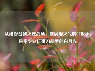 从维修台到火线战场，刻满烟火气的CF扳手，是多少老玩家刀战里的白月光