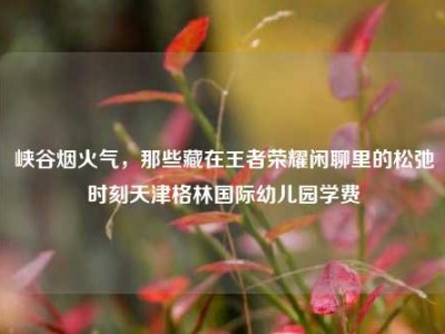 峡谷烟火气，那些藏在王者荣耀闲聊里的松弛时刻天津格林国际幼儿园学费