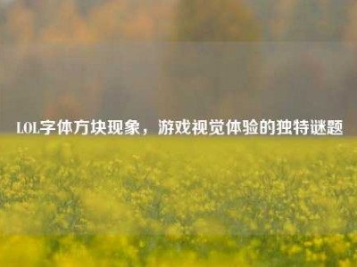 LOL字体方块现象，游戏视觉体验的独特谜题