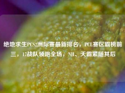 绝地求生PCS2洲际赛最新排名，PCL赛区霸榜前三，17战队领跑全场，NH、天霸紧随其后