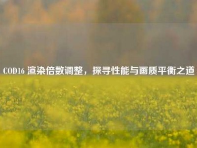COD16 渲染倍数调整，探寻性能与画质平衡之道