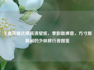 王者荣耀达摩高清壁纸，拳影载禅意，方寸屏幕间的少林修行者图鉴
