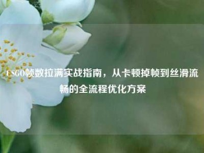 CSGO帧数拉满实战指南，从卡顿掉帧到丝滑流畅的全流程优化方案