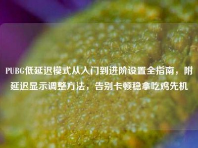 PUBG低延迟模式从入门到进阶设置全指南，附延迟显示调整方法，告别卡顿稳拿吃鸡先机