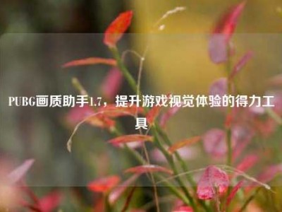 PUBG画质助手1.7，提升游戏视觉体验的得力工具