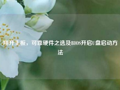翔升主板，可靠硬件之选及BIOS开启U盘启动方法