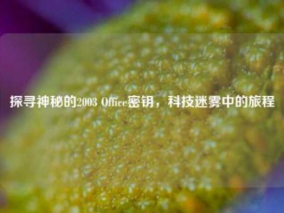 探寻神秘的2003 Office密钥，科技迷雾中的旅程