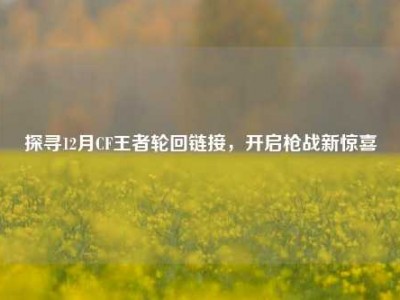 探寻12月CF王者轮回链接，开启枪战新惊喜