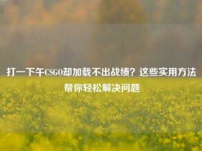打一下午CSGO却加载不出战绩？这些实用方法帮你轻松解决问题