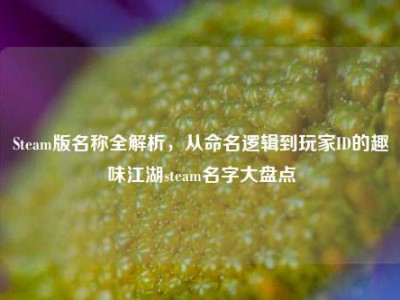 Steam版名称全解析，从命名逻辑到玩家ID的趣味江湖steam名字大盘点
