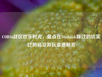 COD16战区欢乐时光，盘点在Verdansk踩过的坑笑过的局及游玩渠道解答