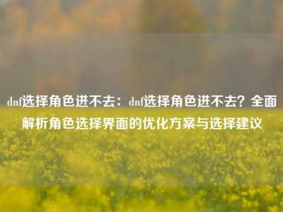 dnf选择角色进不去：dnf选择角色进不去？全面解析角色选择界面的优化方案与选择建议