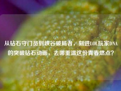 从钻石守门员到峡谷破局者，刻进LOL玩家DNA的突破钻石动画，去哪重温这份青春燃点？