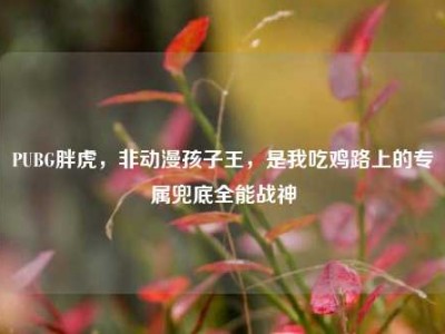 PUBG胖虎，非动漫孩子王，是我吃鸡路上的专属兜底全能战神