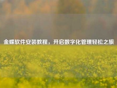 金蝶软件安装教程，开启数字化管理轻松之旅