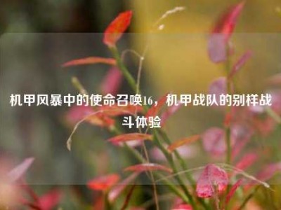 机甲风暴中的使命召唤16，机甲战队的别样战斗体验