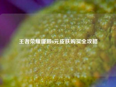 王者荣耀廉颇6元皮肤购买全攻略