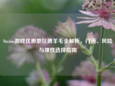 Steam游戏优惠地区薅羊毛全解析，门道、风险与理性选择指南
