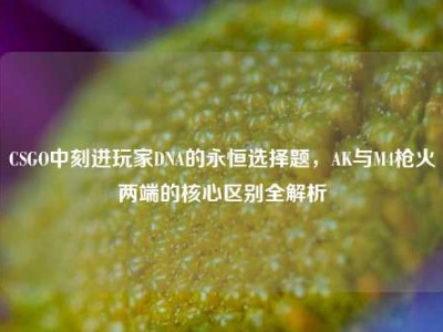 CSGO中刻进玩家DNA的永恒选择题，AK与M4枪火两端的核心区别全解析