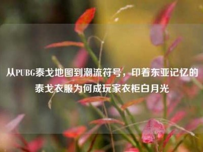 从PUBG泰戈地图到潮流符号，印着东亚记忆的泰戈衣服为何成玩家衣柜白月光