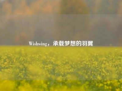 Wishwing，承载梦想的羽翼