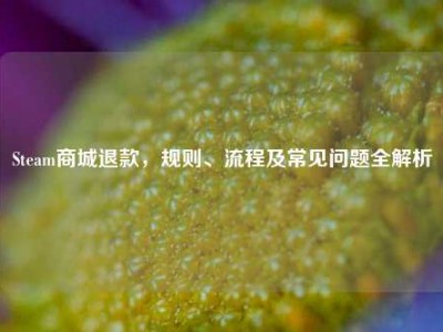 Steam商城退款，规则、流程及常见问题全解析