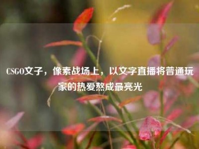 CSGO文子，像素战场上，以文字直播将普通玩家的热爱熬成最亮光