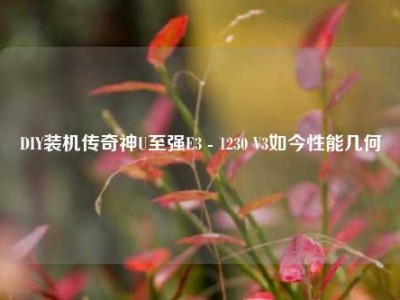 DIY装机传奇神U至强E3 - 1230 V3如今性能几何
