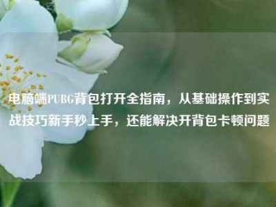 电脑端PUBG背包打开全指南，从基础操作到实战技巧新手秒上手，还能解决开背包卡顿问题