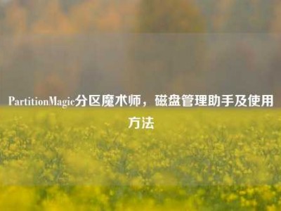 PartitionMagic分区魔术师，磁盘管理助手及使用方法