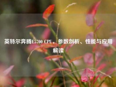 英特尔奔腾E5700 CPU，参数剖析、性能与应用解读