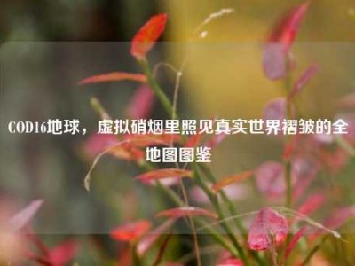 COD16地球，虚拟硝烟里照见真实世界褶皱的全地图图鉴
