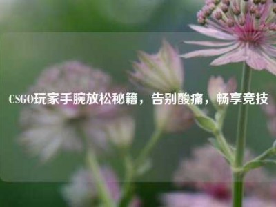 CSGO玩家手腕放松秘籍，告别酸痛，畅享竞技