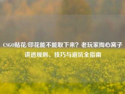 CSGO贴花/印花能不能取下来？老玩家掏心窝子讲透规则、技巧与避坑全指南