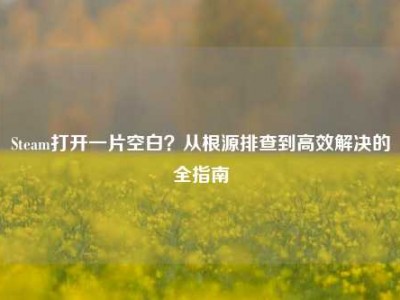 Steam打开一片空白？从根源排查到高效解决的全指南
