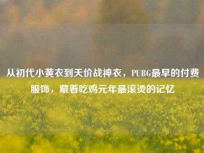从初代小黄衣到天价战神衣，PUBG最早的付费服饰，藏着吃鸡元年最滚烫的记忆