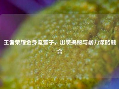 王者荣耀金身流猴子，出装揭秘与暴力谋略融合