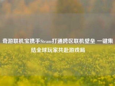 奇游联机宝携手Steam打通跨区联机壁垒 一键集结全球玩家共赴游戏局