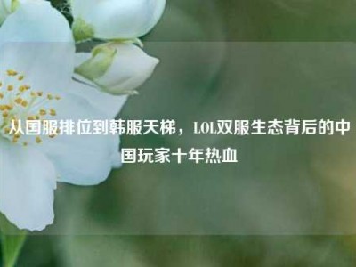 从国服排位到韩服天梯，LOL双服生态背后的中国玩家十年热血