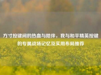 方寸按键间的热血与陪伴，我与和平精英按键的专属战场记忆及实用布局推荐