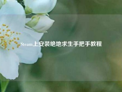 Steam上安装绝地求生手把手教程